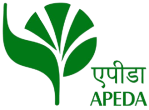 apeda-logo
